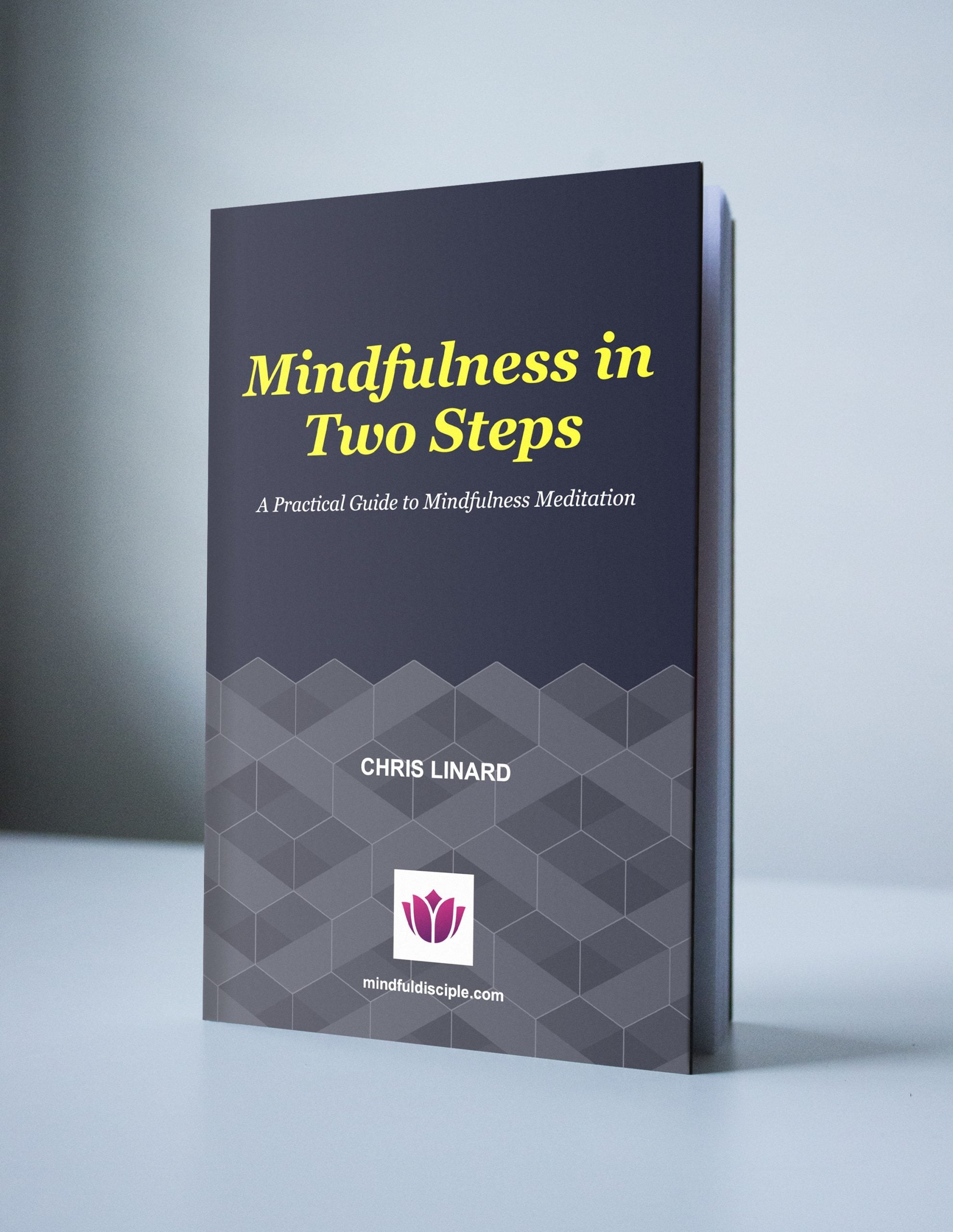 Mindfulness in Two Steps Ebook